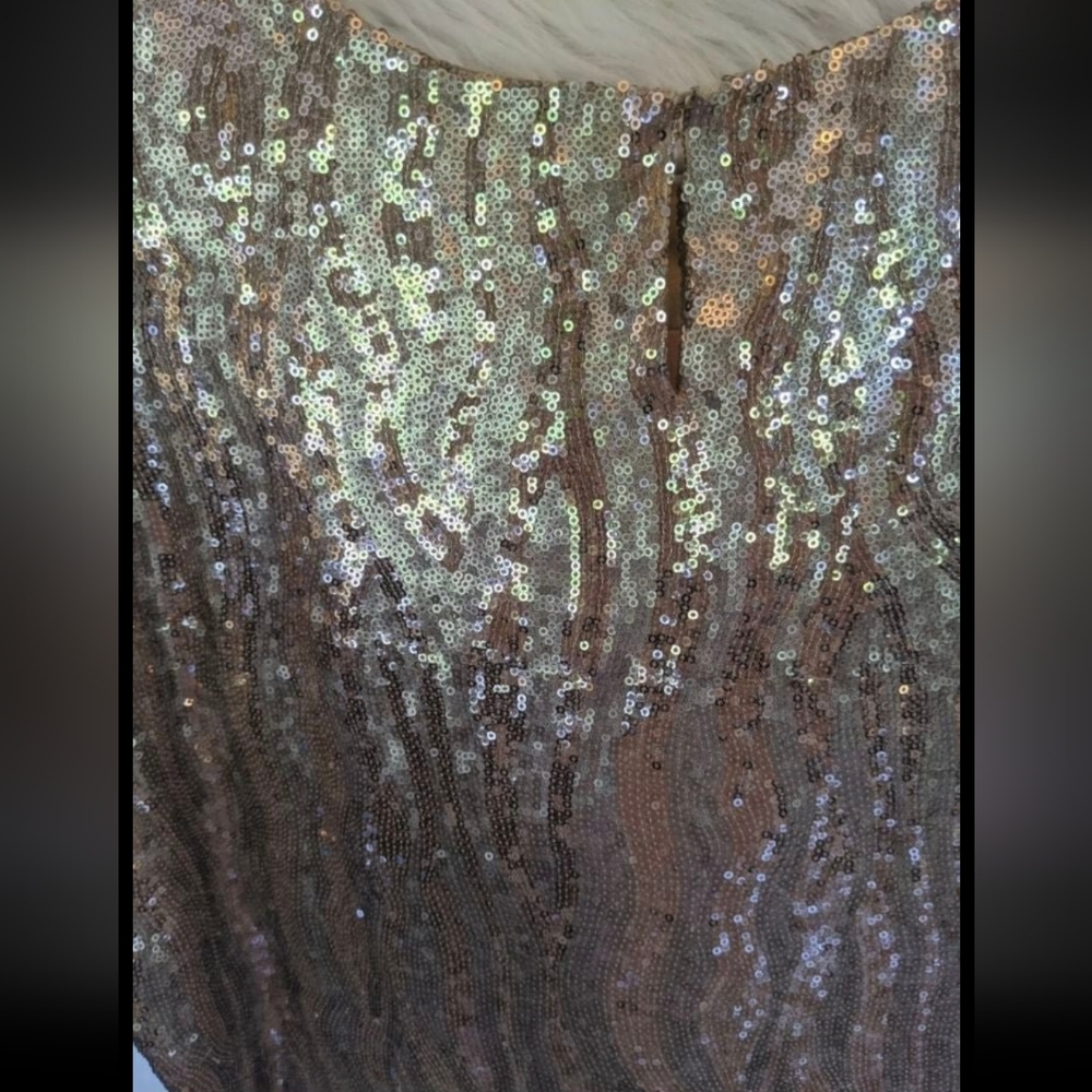 Halston Heritage Sequin Zebra Dress Gold. Champagne Size 10. Originally $595. - Picture 5 of 8